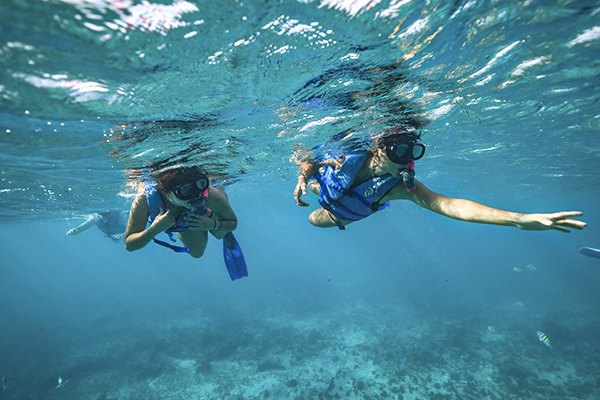 Snorkel Expedition